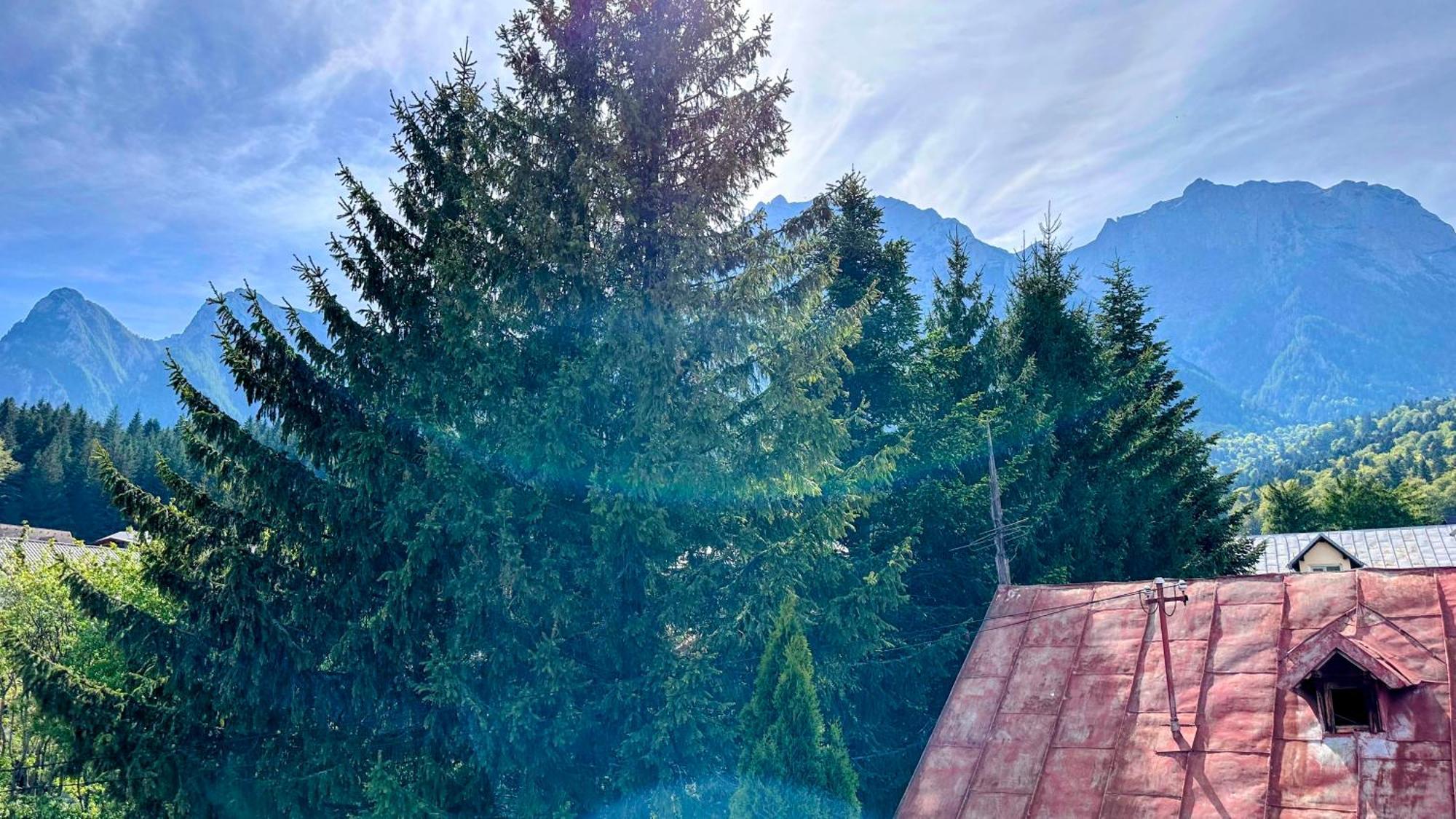 Hotel Valea Alba View - Self Check-In Buşteni Esterno foto